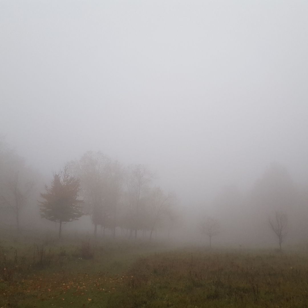 Köd